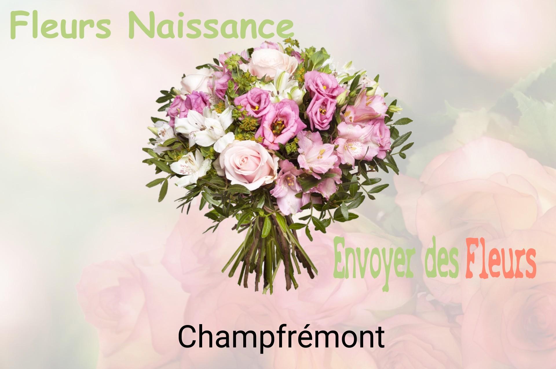 Bouquet de fleurs de naissance livré à Champfrémont